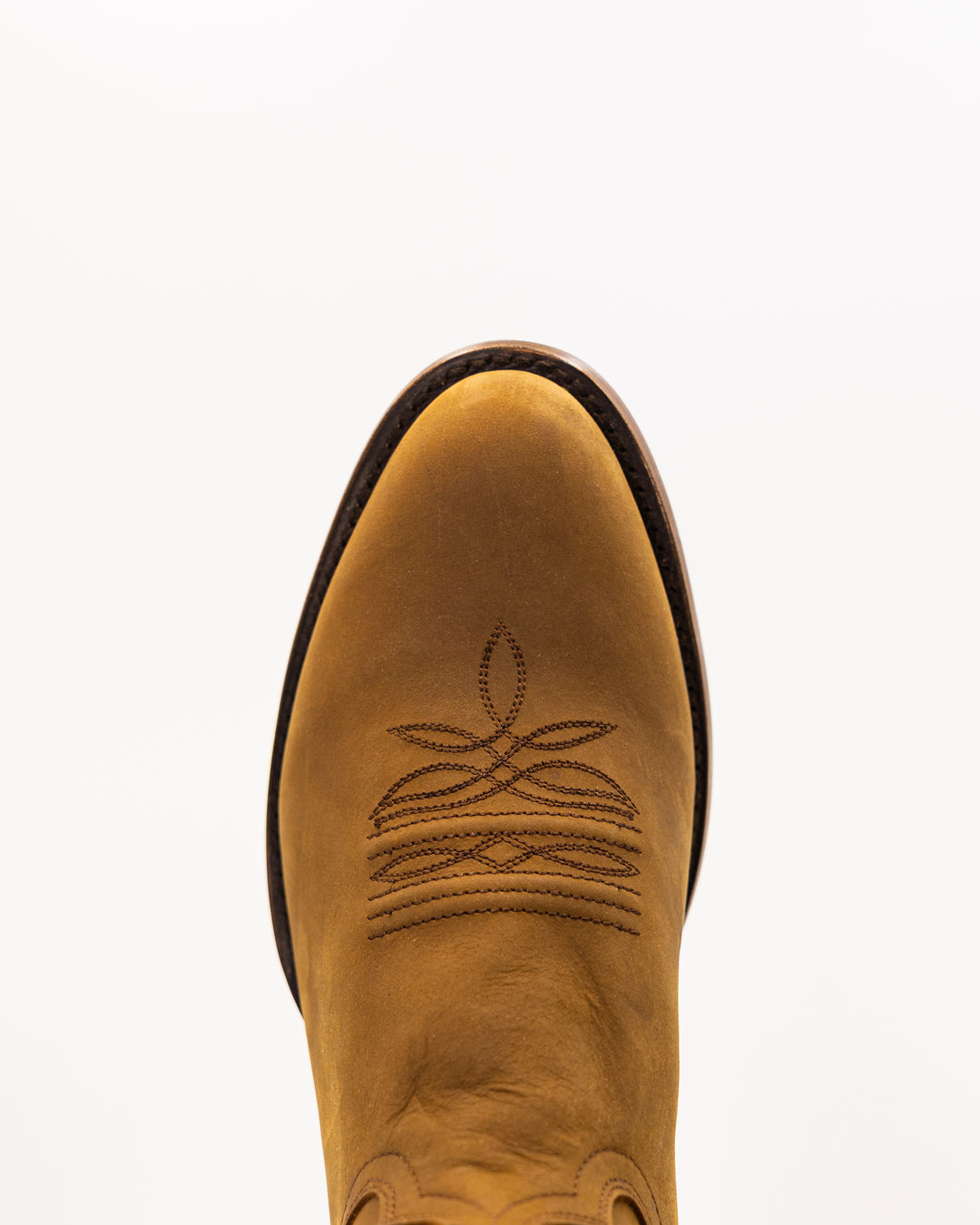 Blake Camel Rough Out