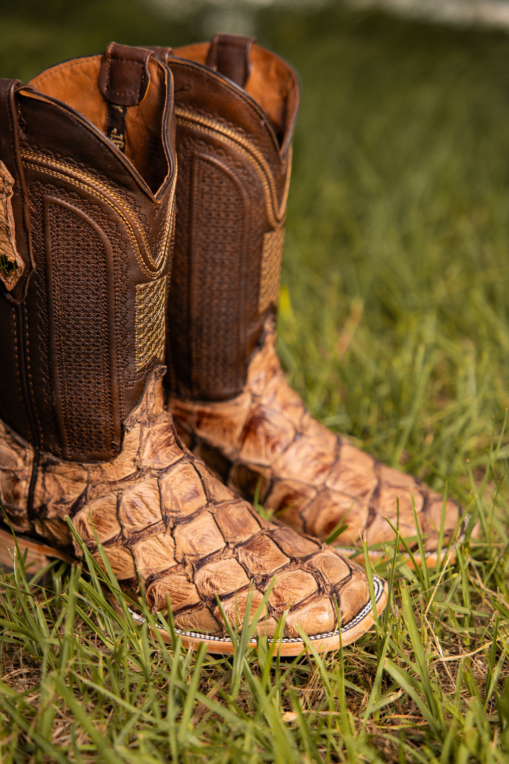 Pirarucu boots Exotic leather boots Fish leather boots Men’s Pirarucu boots Women’s Pirarucu boots Handmade Pirarucu boots Genuine Pirarucu leather boots Cowboy boots Pirarucu Western Pirarucu boots Western wear cowboy boots men's boots pirarucu fashion western square toe exotic leather brown Premium Pirarucu cowboy boots for men Handmade Pirarucu boots Pirarucu boots with square toe Custom exotic leather boots made from Exotic Leather Cowboy Boots Western Wear Handmade Boots Sustainable Fashion Luxury
