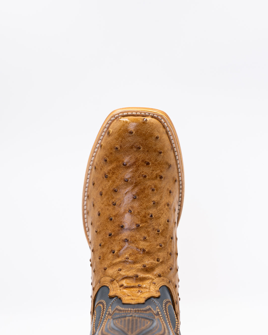 Grant Cork